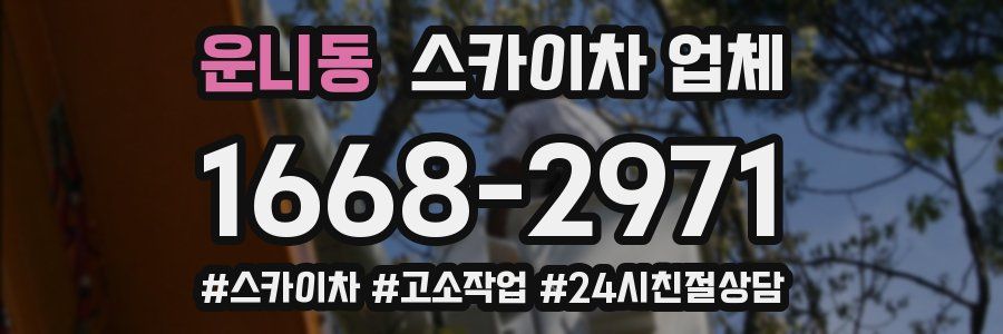 운니동 스카이차 업체