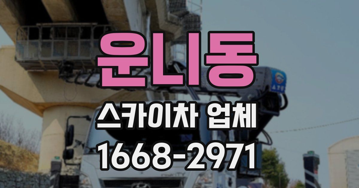 운니동 스카이차 업체