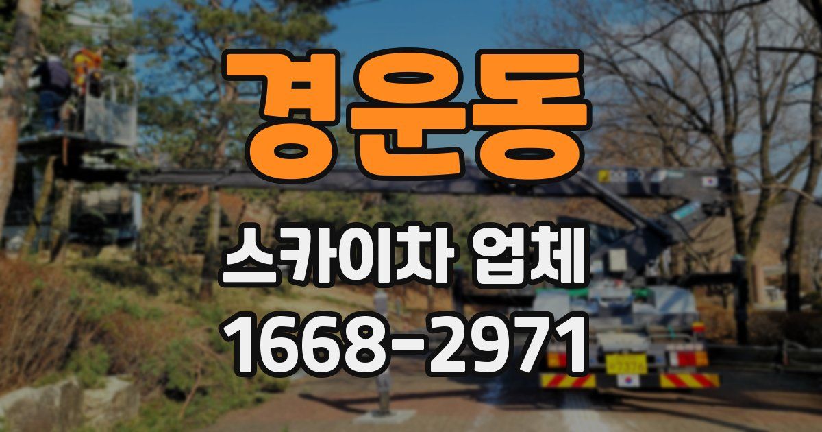 경운동 스카이차 업체