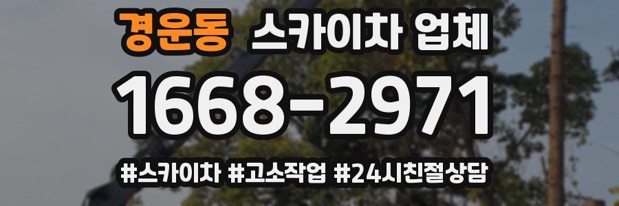 경운동 스카이차 업체