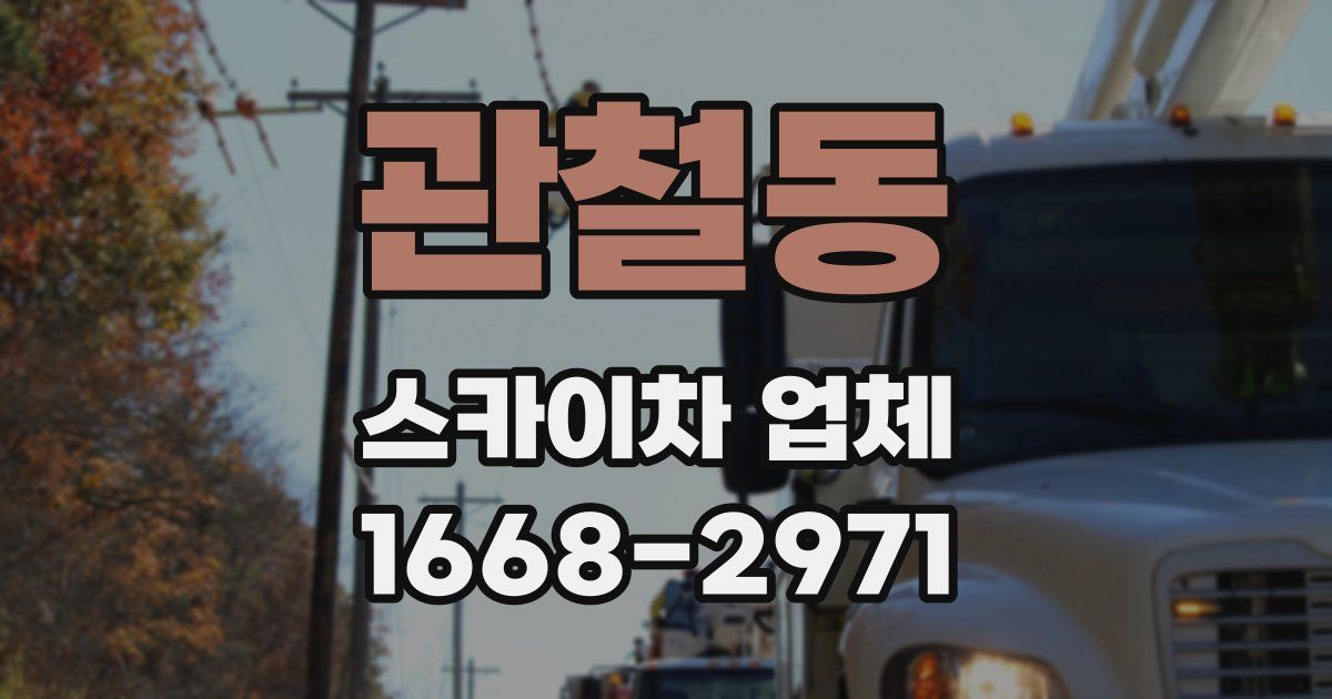 관철동 스카이차 업체