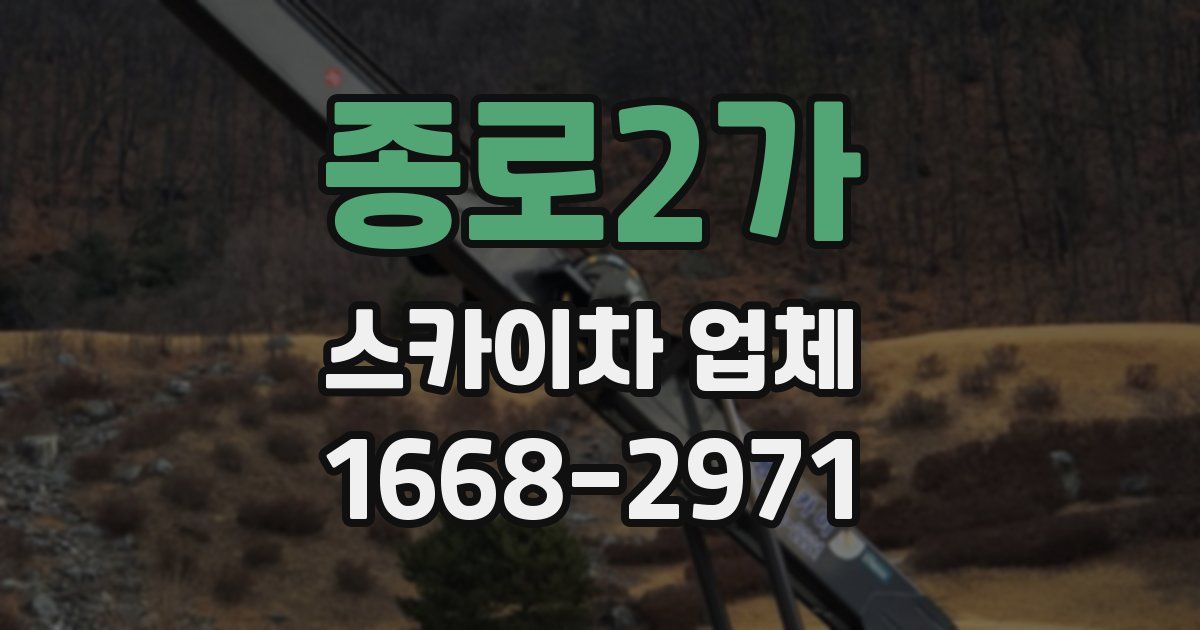 종로2가 스카이차 업체