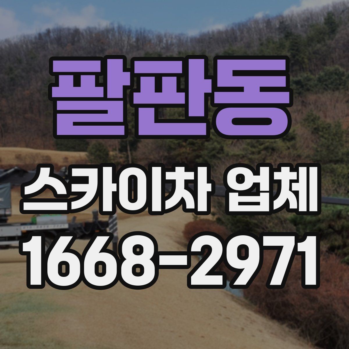 팔판동 스카이차 업체 후기 볼 때 함께 봐야 할 것