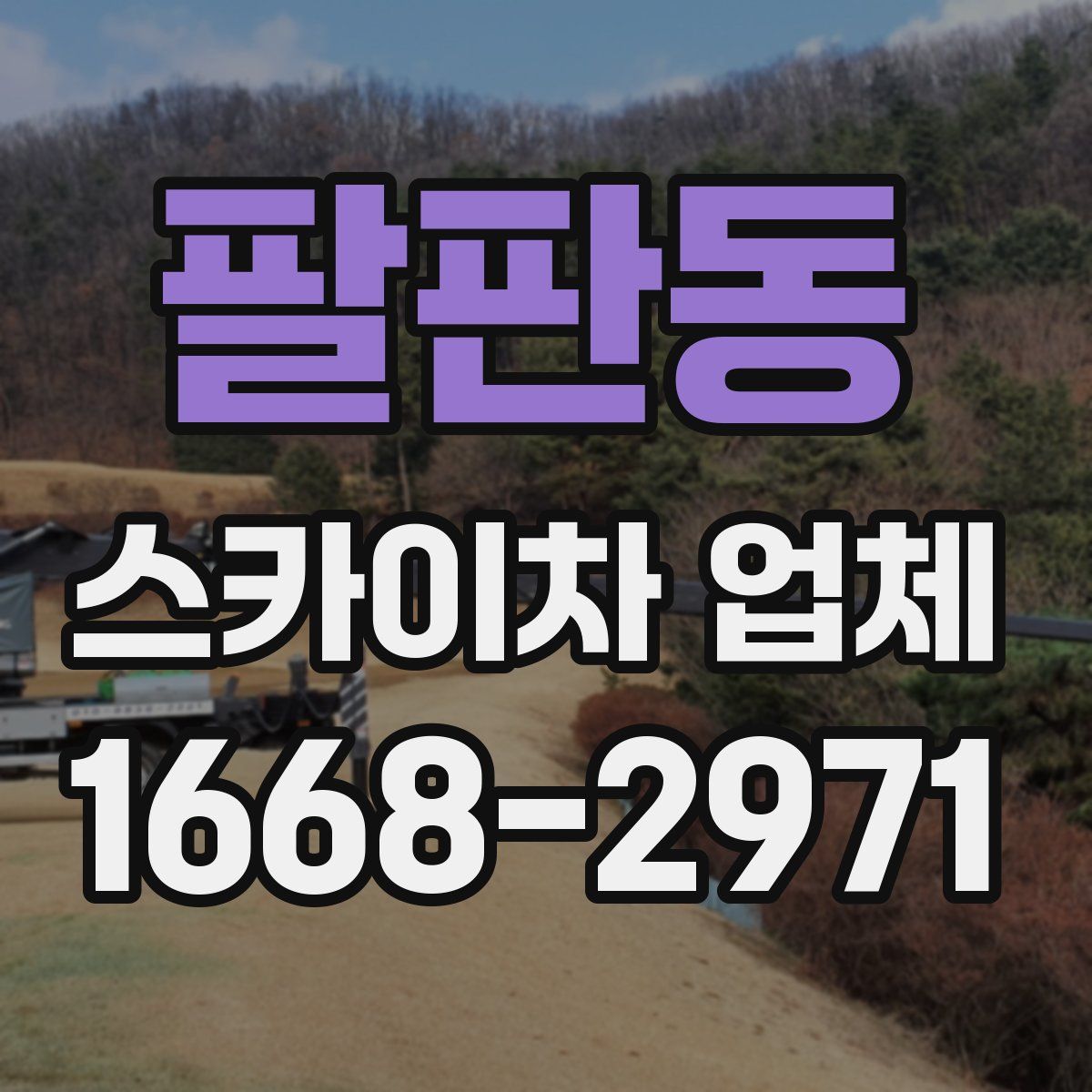 팔판동 스카이차 업체
