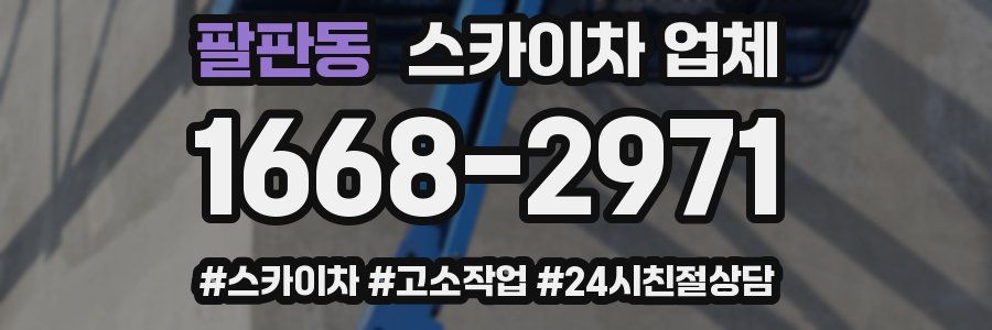 팔판동 스카이차 업체