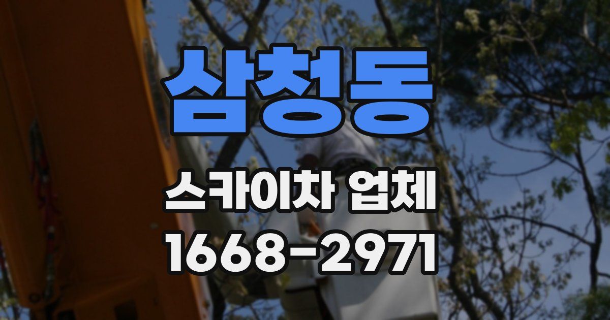 삼청동 스카이차 업체