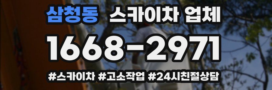 삼청동 스카이차 업체