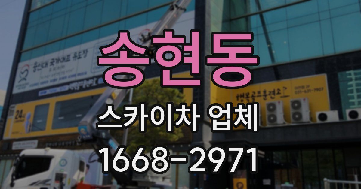 송현동 스카이차 업체
