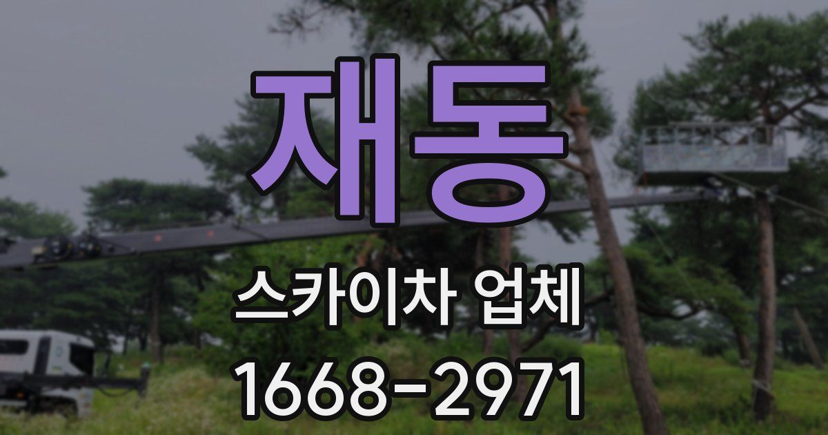 재동 스카이차 업체