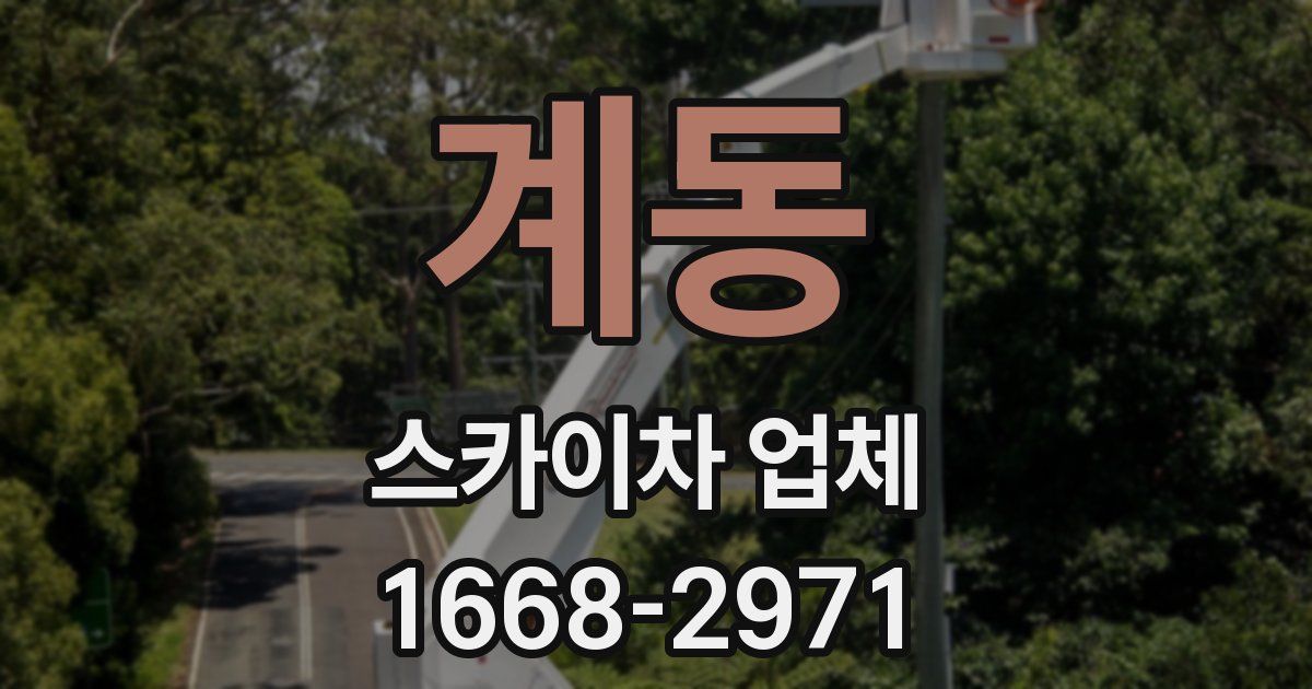 계동 스카이차 업체