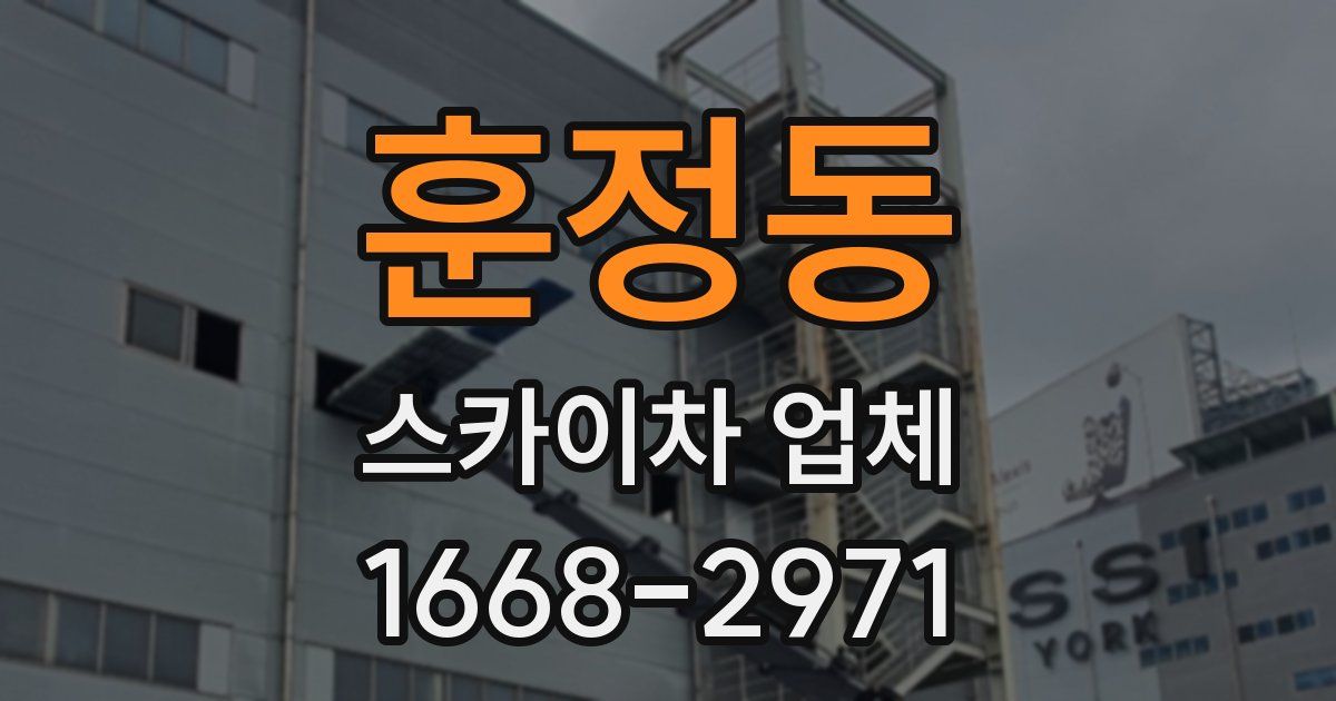 훈정동 스카이차 업체