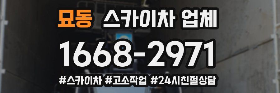묘동 스카이차 업체