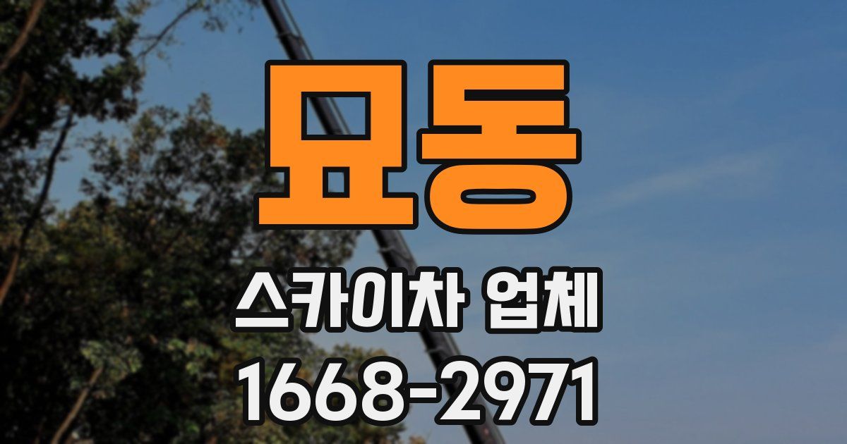 묘동 스카이차 업체