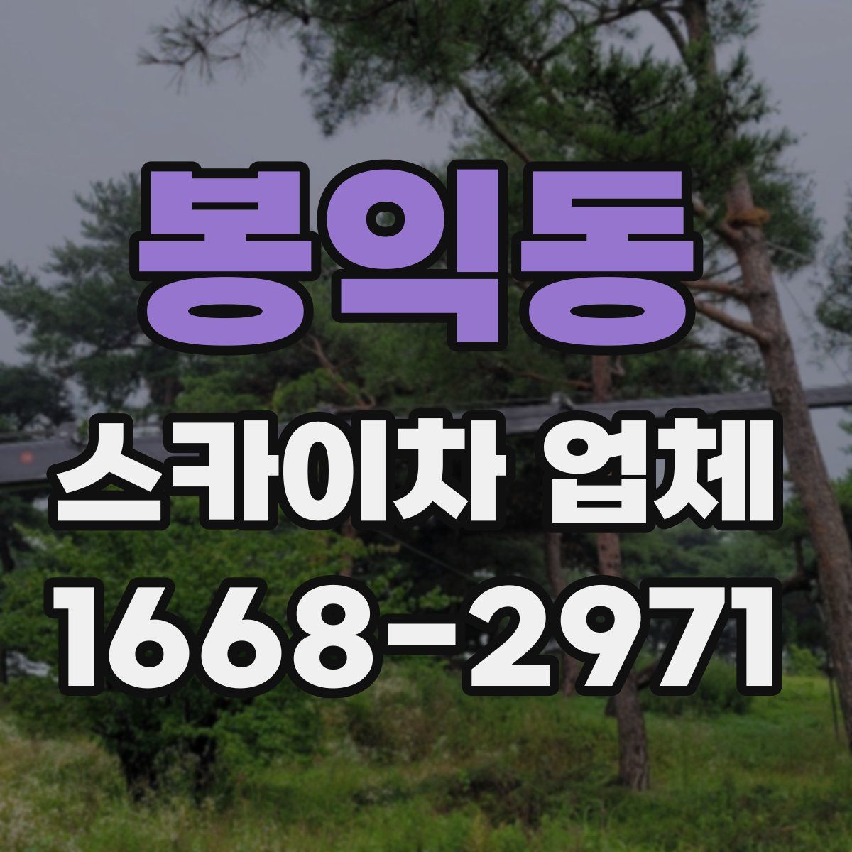 봉익동 스카이차 업체