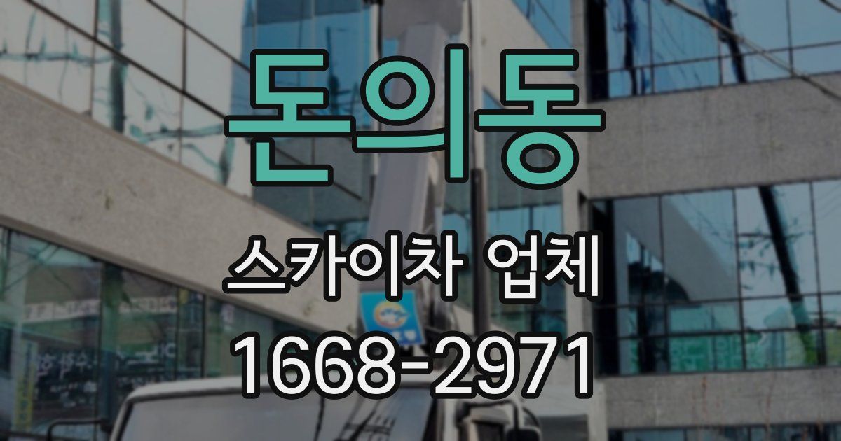 돈의동 스카이차 업체