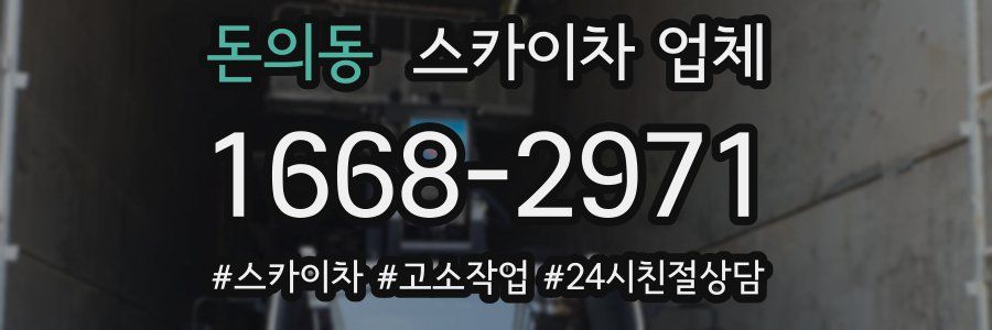 돈의동 스카이차 업체