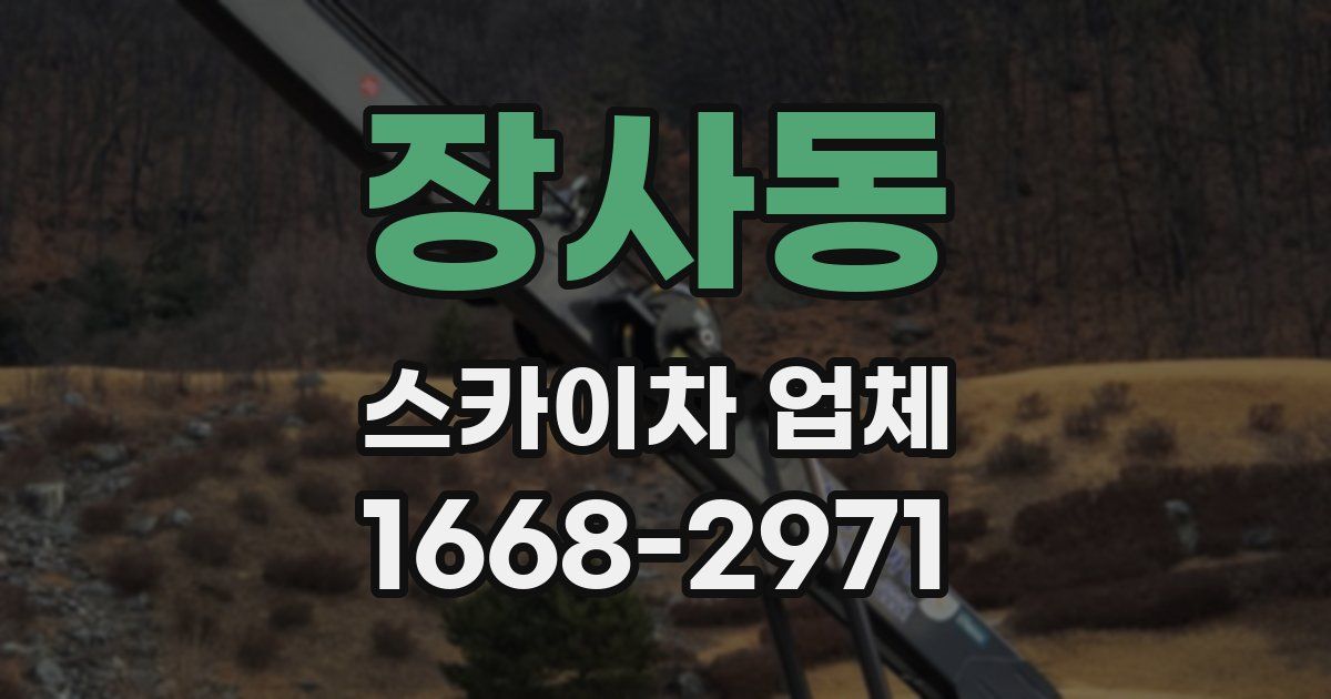 장사동 스카이차 업체