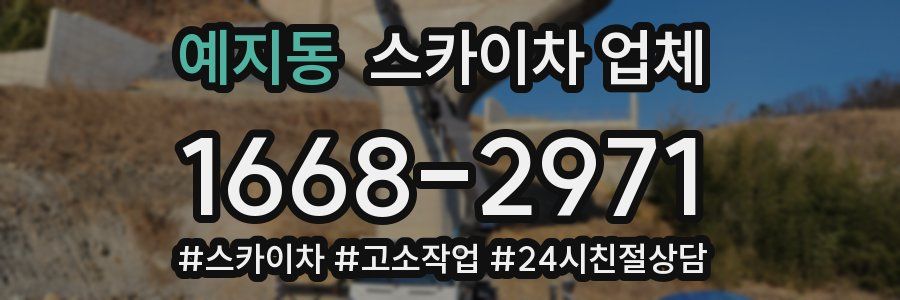 예지동 스카이차 업체