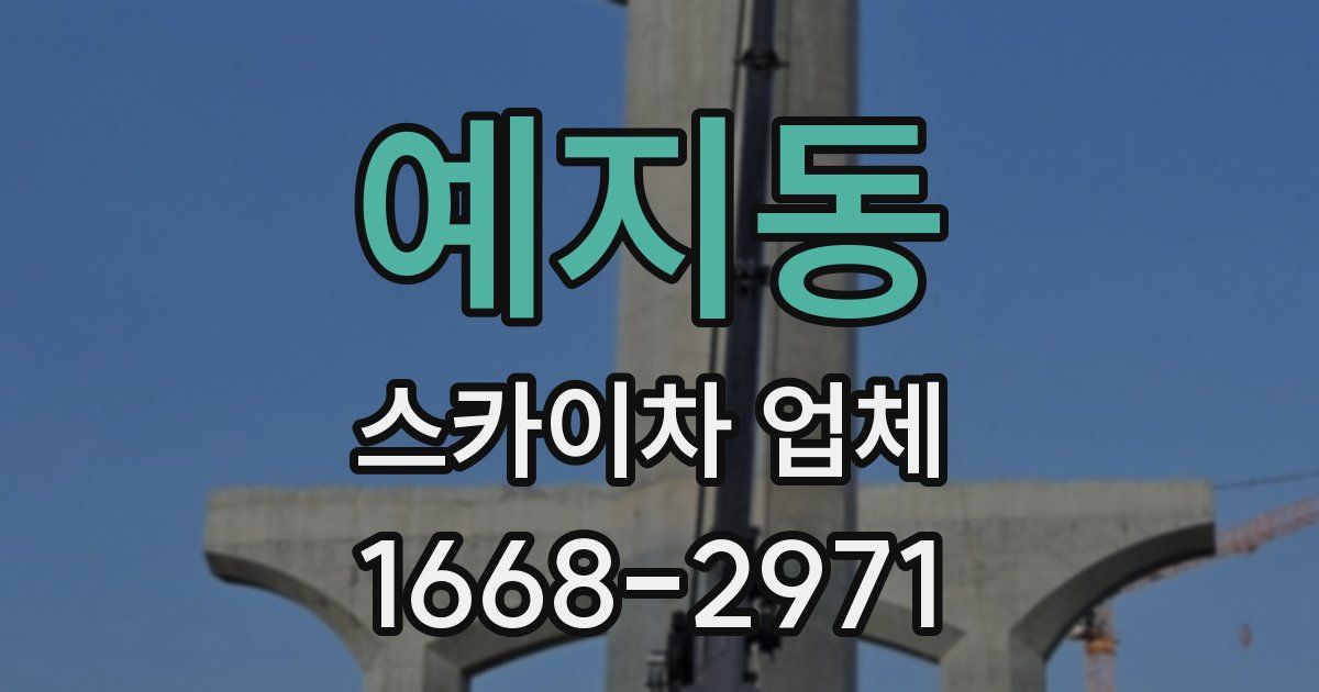 예지동 스카이차 업체