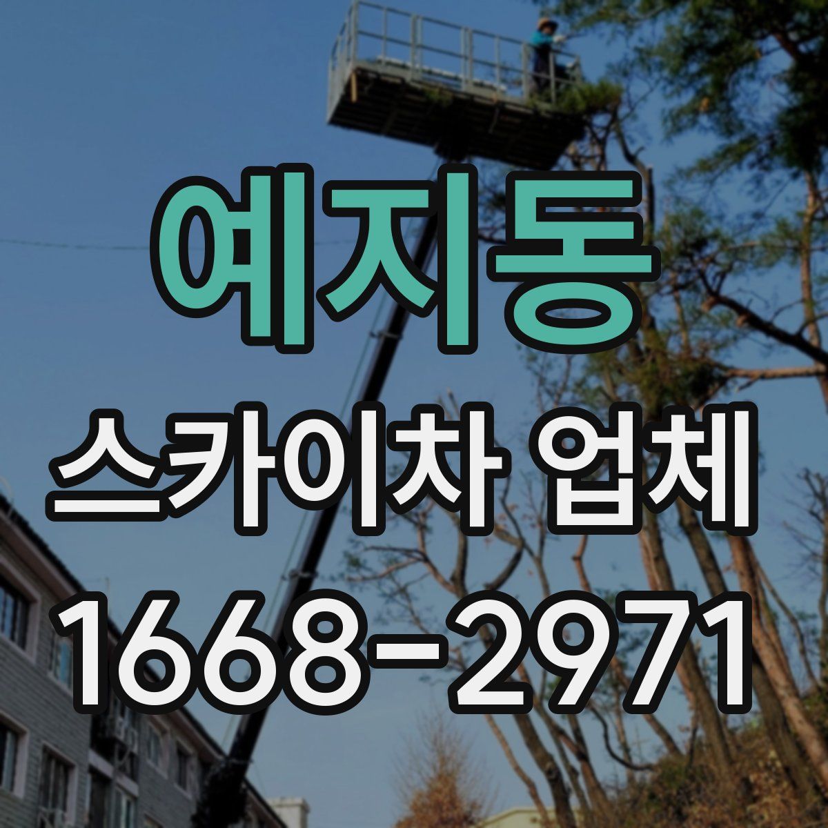 예지동 스카이차 업체