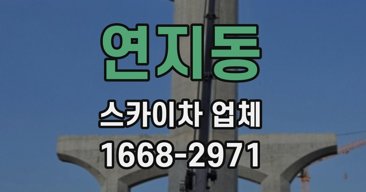 연지동 스카이차 업체
