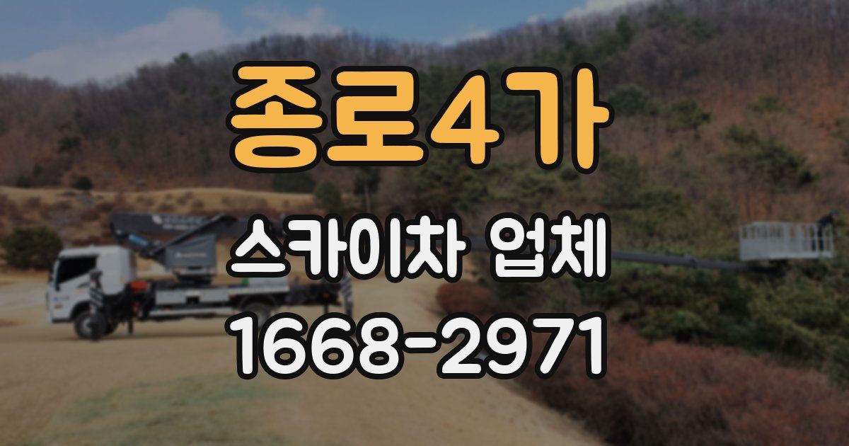 종로4가 스카이차 업체