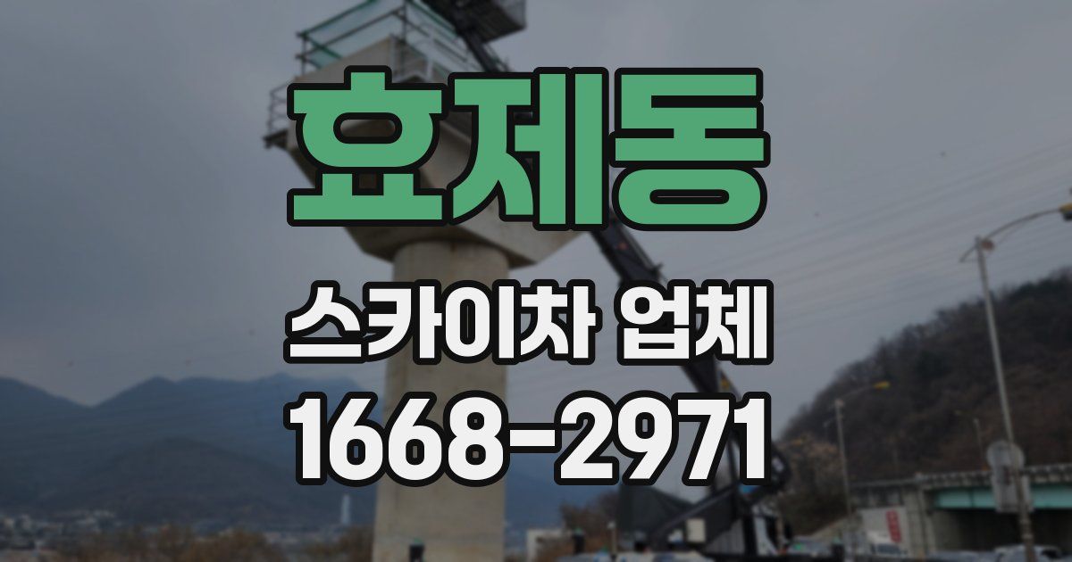 효제동 스카이차 업체