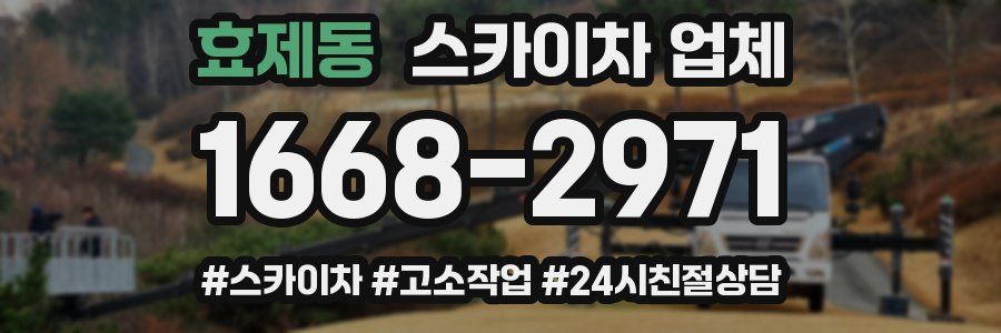 효제동 스카이차 업체