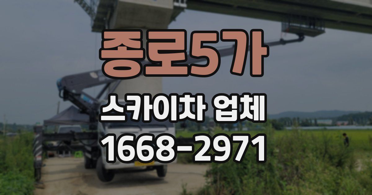종로5가 스카이차 업체