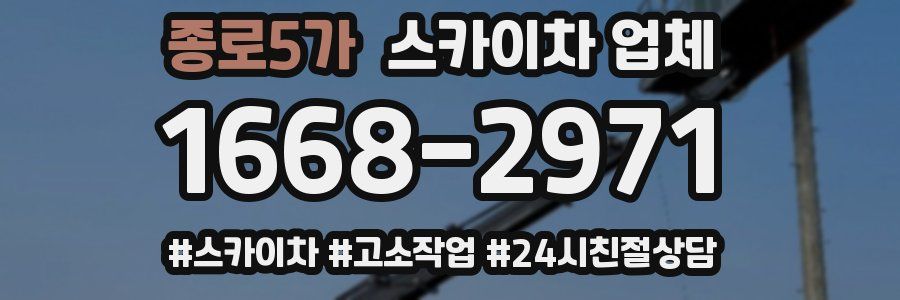 종로5가 스카이차 업체