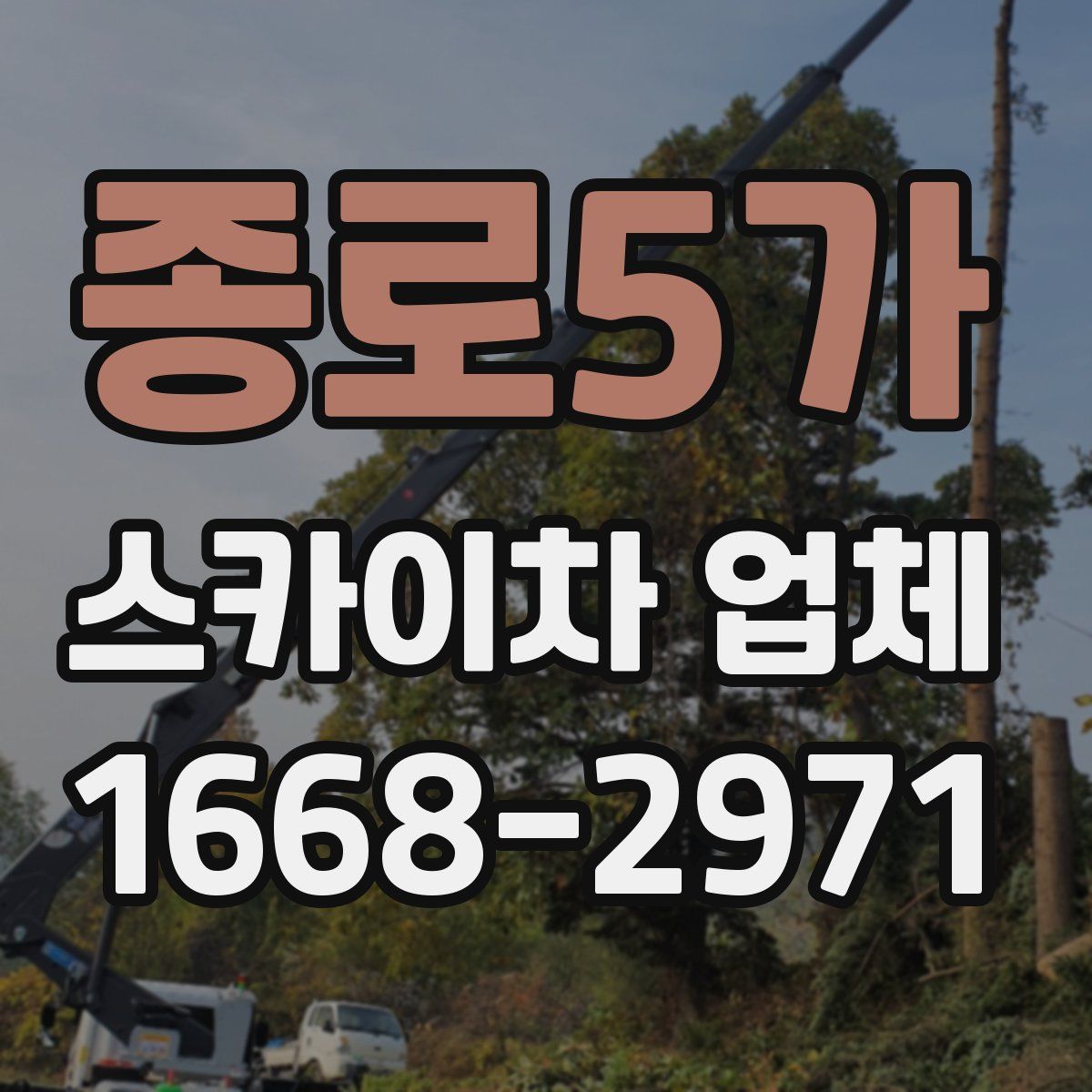 종로5가 스카이차 업체