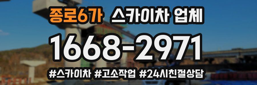 종로6가 스카이차 업체