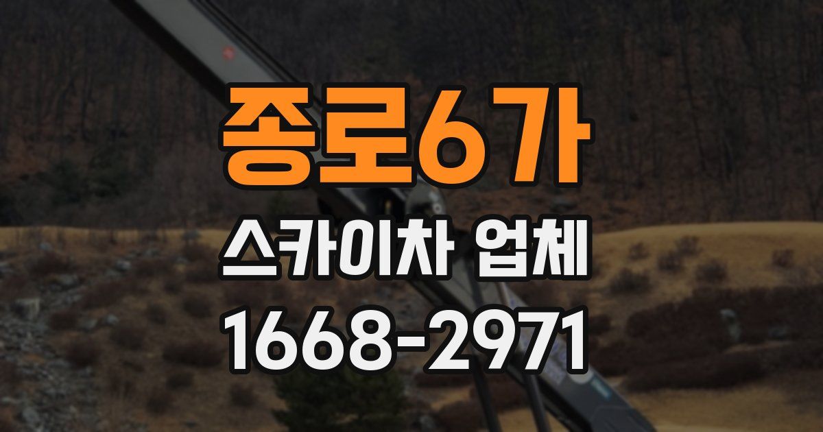 종로6가 스카이차 업체