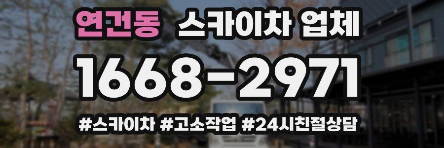 연건동 스카이차 업체