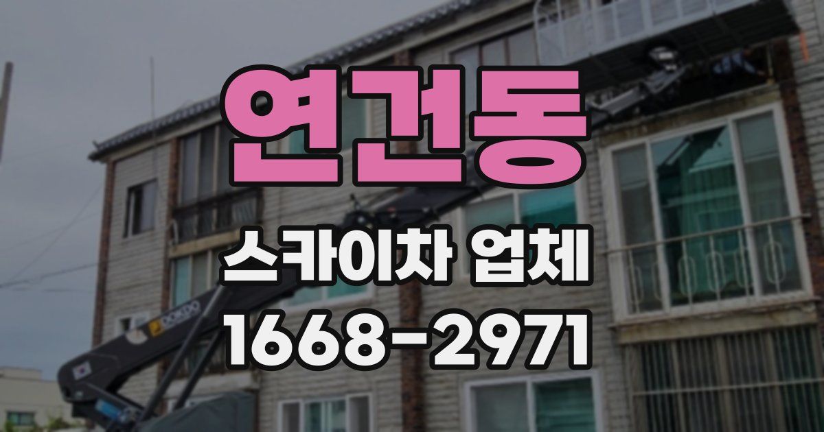 연건동 스카이차 업체