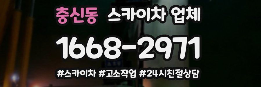 충신동 스카이차 업체