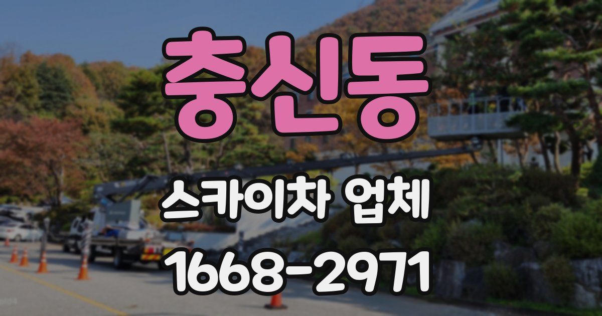 충신동 스카이차 업체