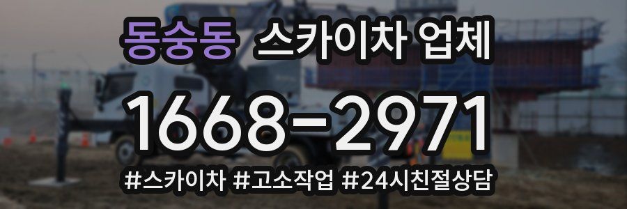 동숭동 스카이차 업체