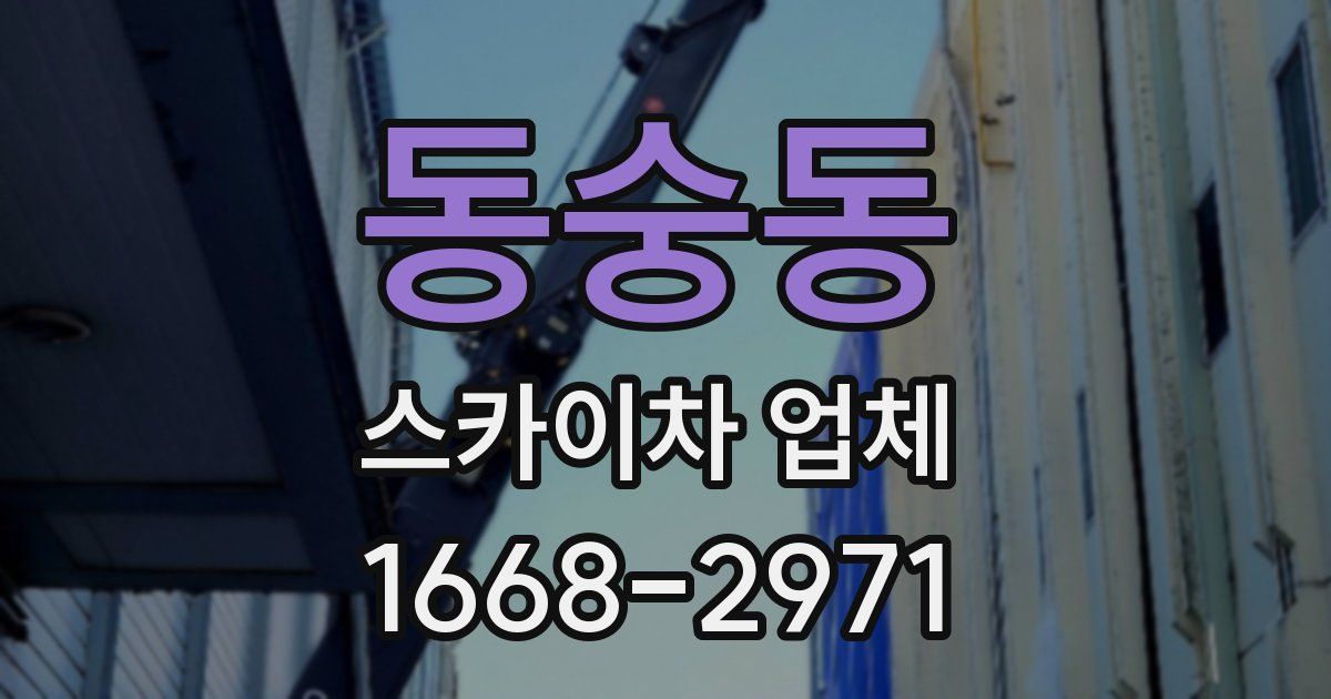 동숭동 스카이차 업체