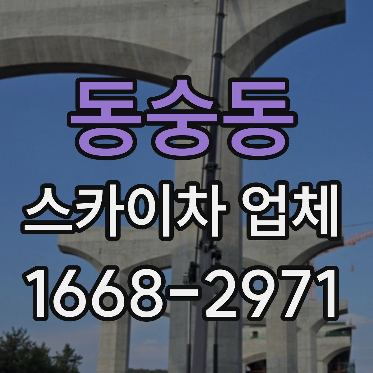 동숭동 스카이차 업체