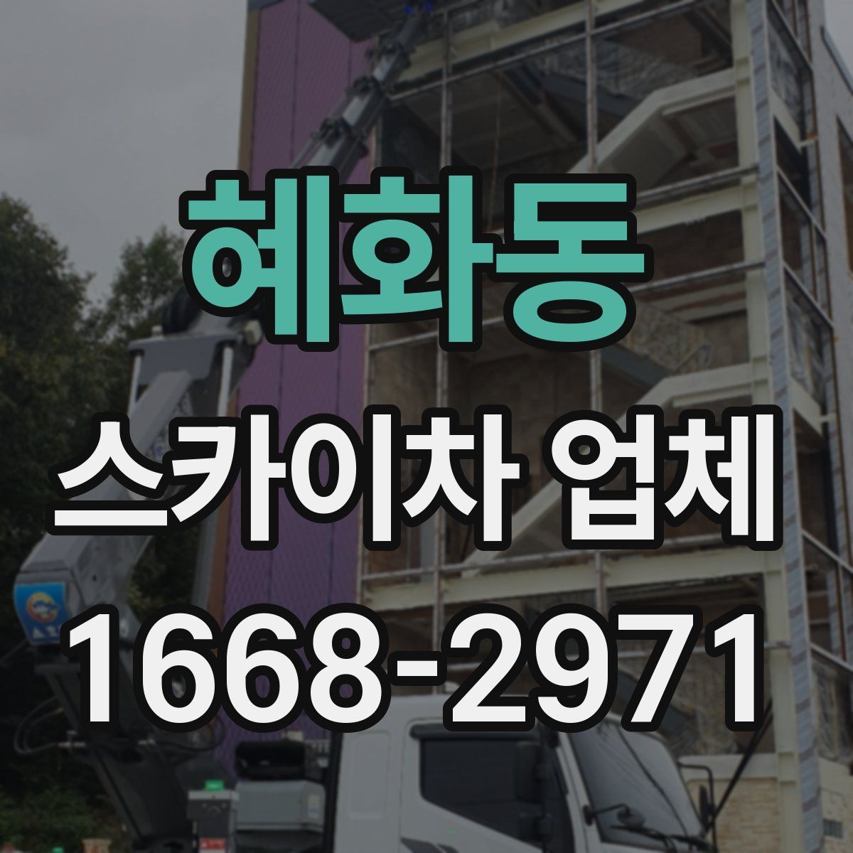 혜화동 스카이차 업체