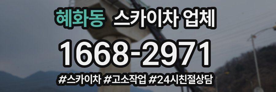 혜화동 스카이차 업체