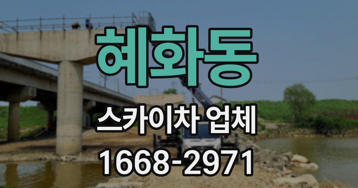 혜화동 스카이차 업체