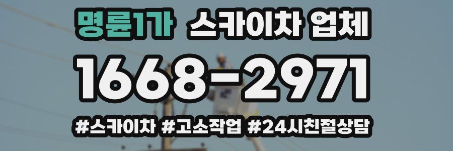 명륜1가 스카이차 업체