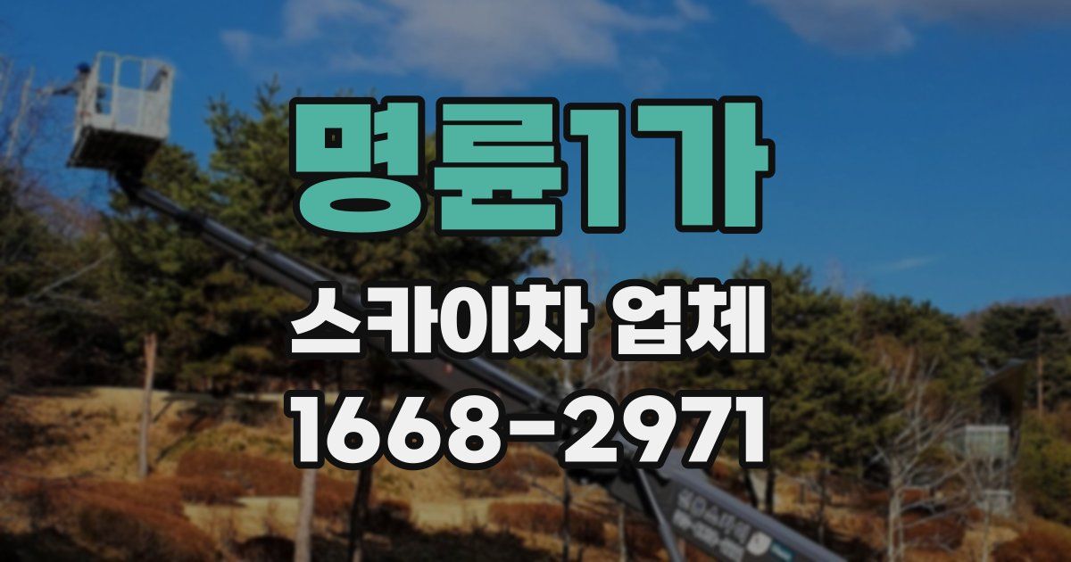 명륜1가 스카이차 업체