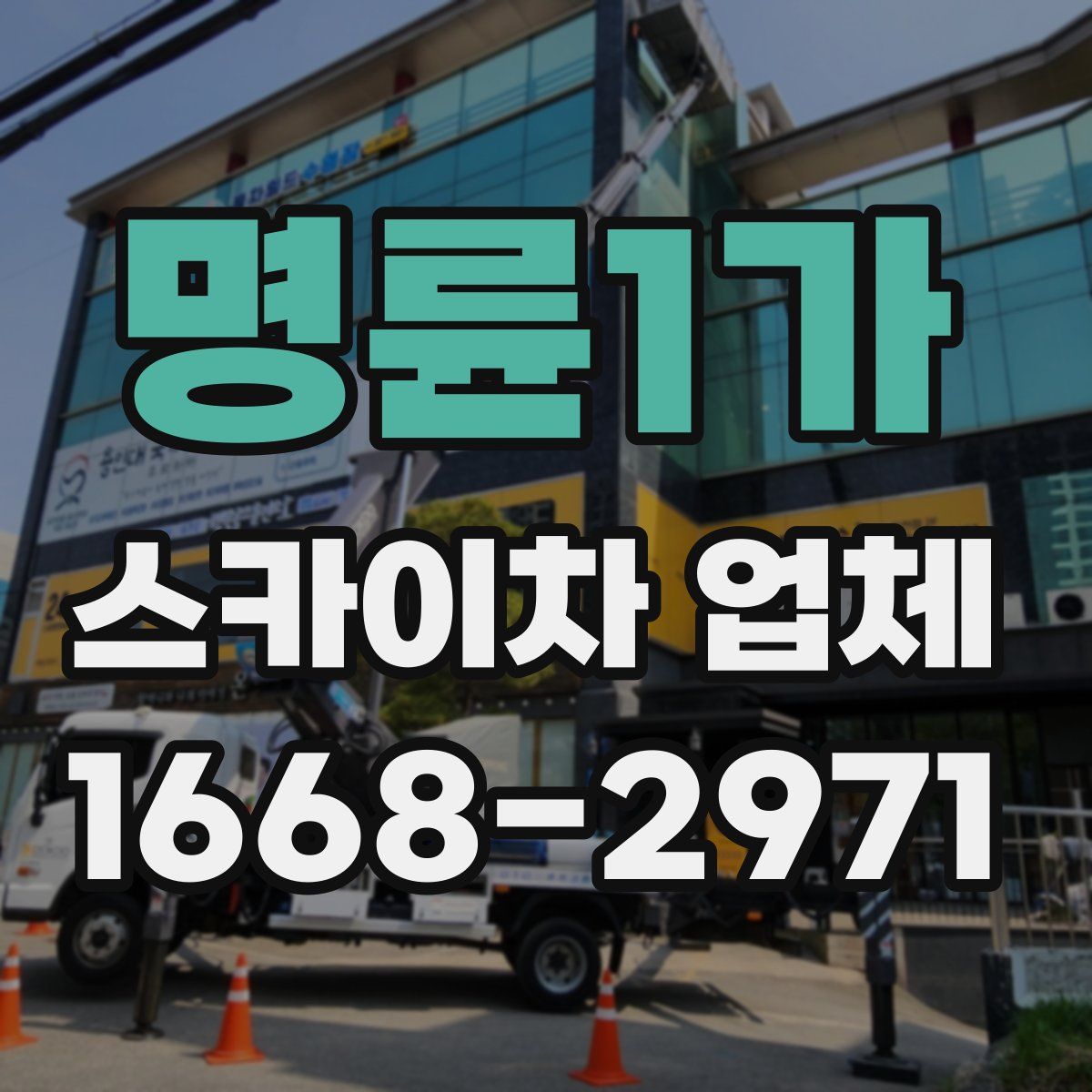 명륜1가 스카이차 업체