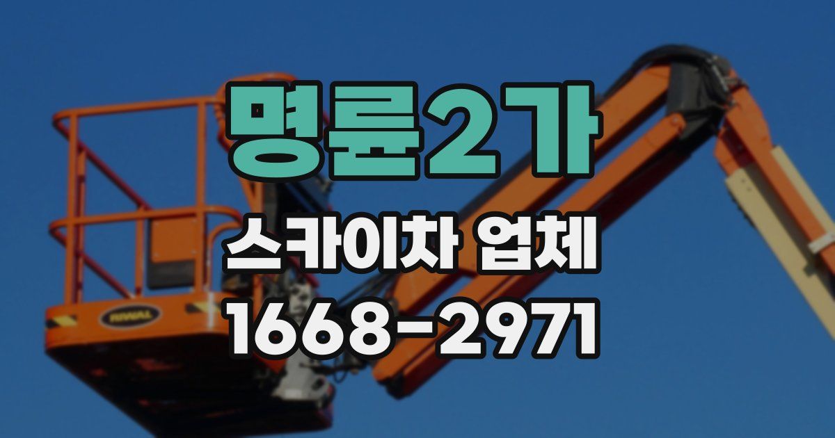 명륜2가 스카이차 업체