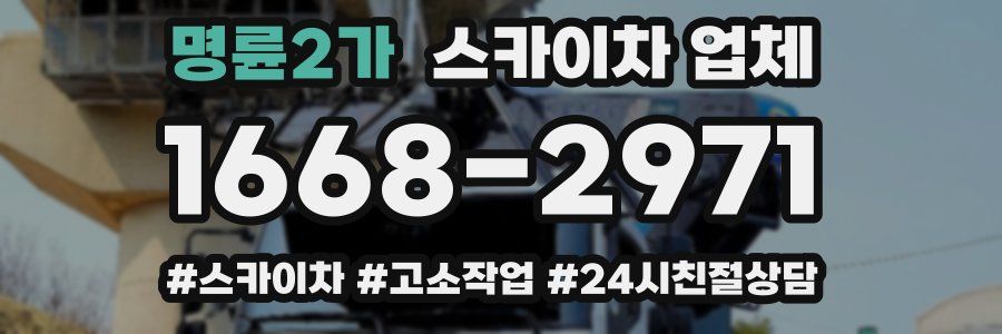 명륜2가 스카이차 업체