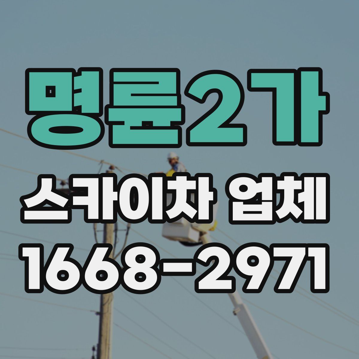명륜2가 스카이차 업체