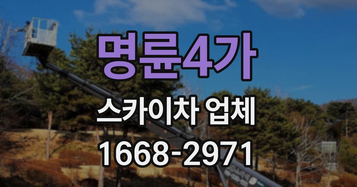 명륜4가 스카이차 업체